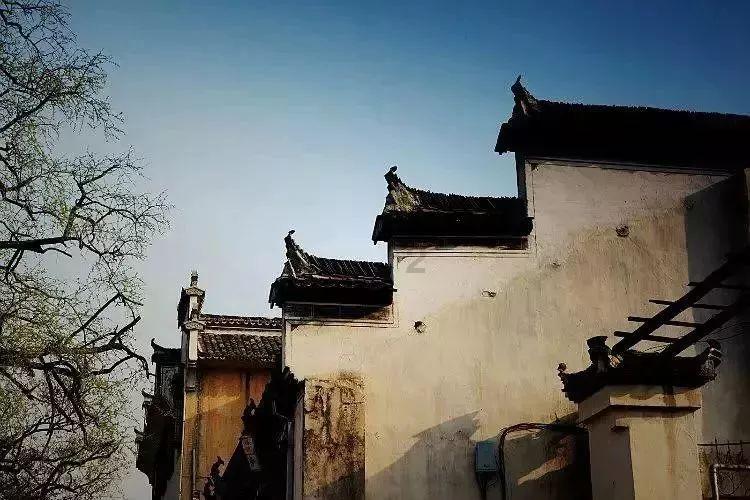 为什么说呲牙的狗不咬人-有问必答平台